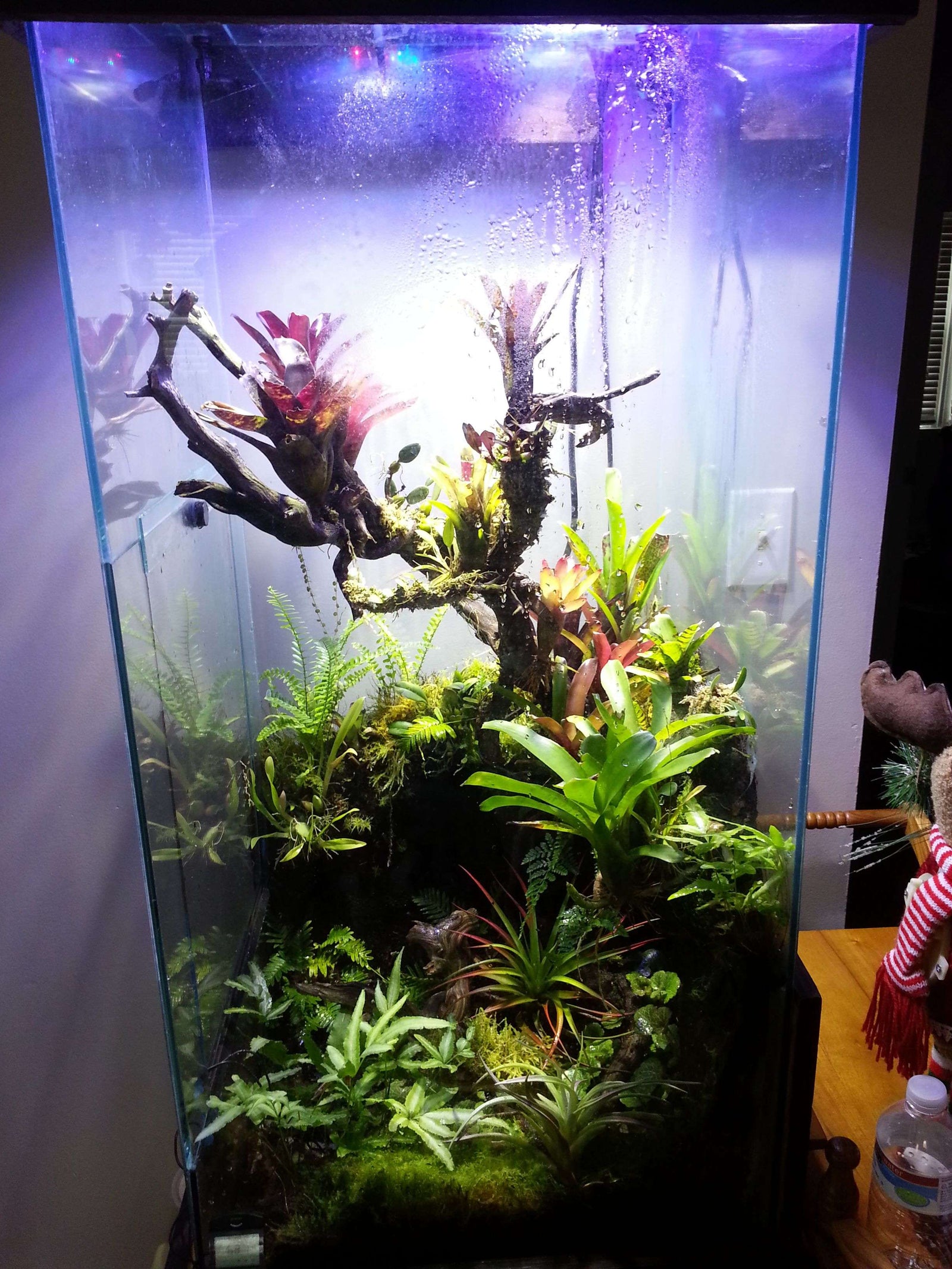 Bioactive sales vivarium supplies