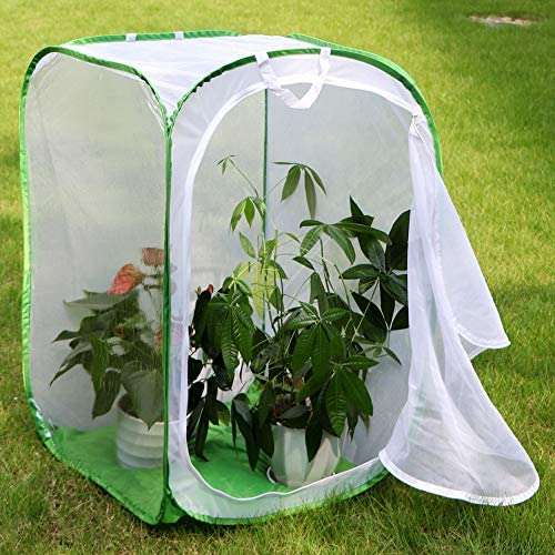 RESTCLOUD 24 Insect and Butterfly Habitat Monarch Butterfly Enclosure for  Caterpillars Pop Up 24 Inches Tall Pack of 2