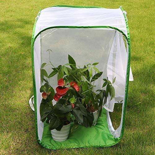 36" Large Collapsible Insect Mesh Cage Terrarium Pop-up 24 x 24 x 36 Inches - USMANTIS