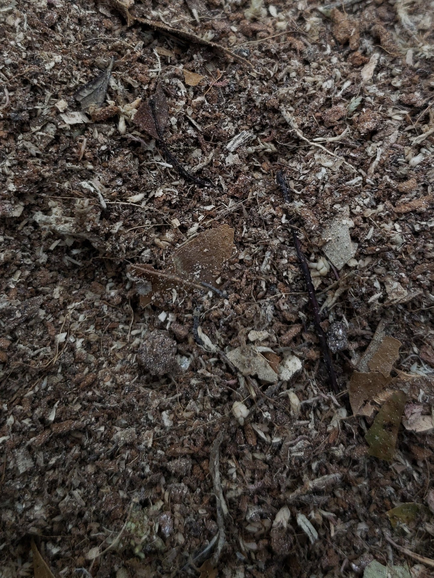 Fortified Isopod Substrate w/ Calcium - USMANTIS
