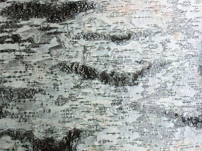 Birch Bark Sheets. Birch Sheets Craft. Birch Pieces. Birch Wood Sheets - USMANTIS