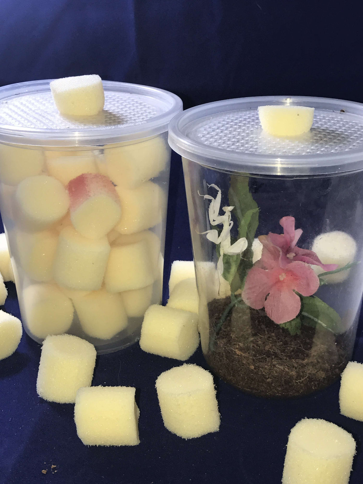 DeliCupfeeding 32 ounce cups with vented lids and Plug USMANTIS