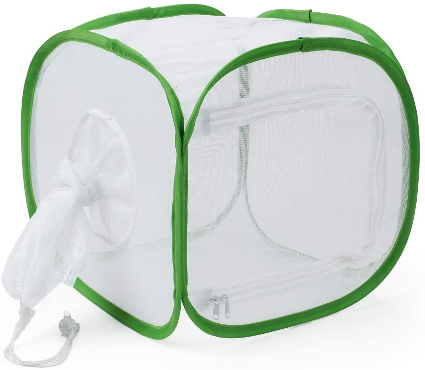 Insect and Butterfly Habitat Cage12 X 12 X 12 With Sleeve - USMANTIS