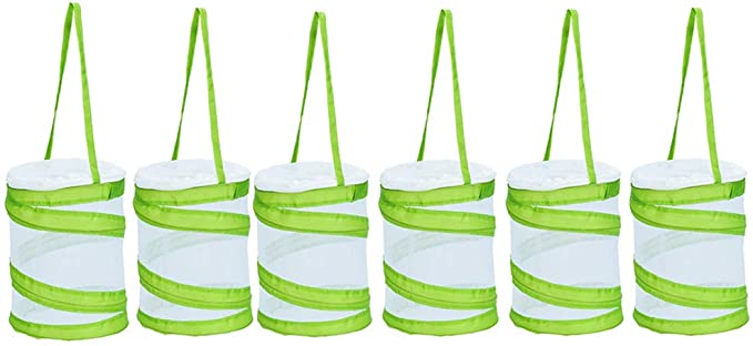 Popup Cage White Green 5" by 6" Mini round for insects. Mantis net cage ooth cage - USMANTIS