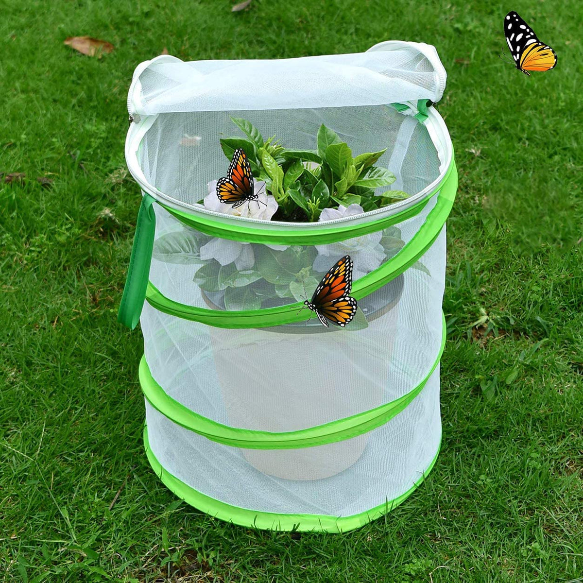 Mantis Butterfly Habitat Insect Cage - Round Pop Up Mesh Net 12 x 14 - USMANTIS