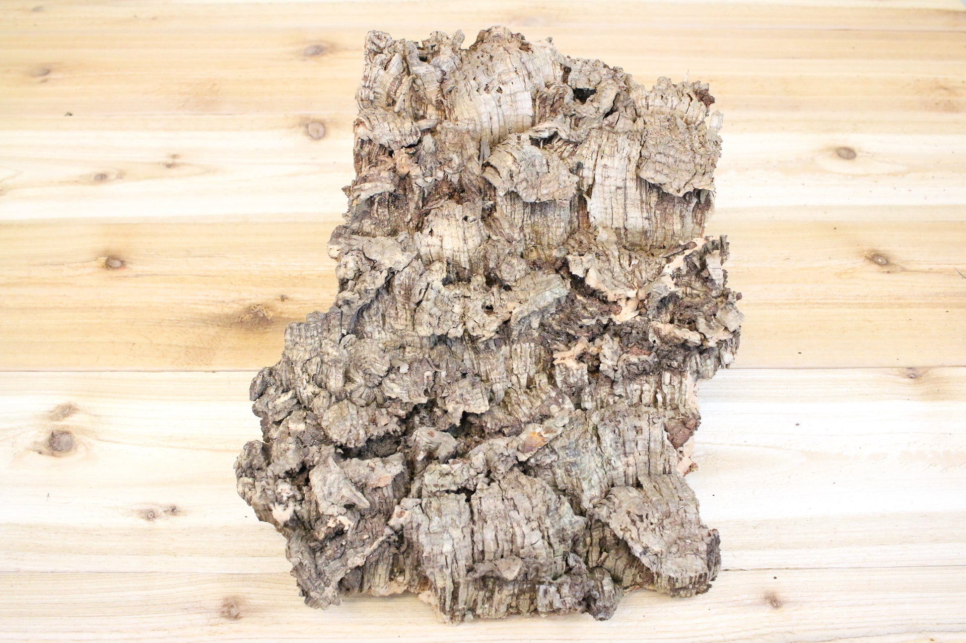Virgin Cork Bark Slabs By Size - USMANTIS