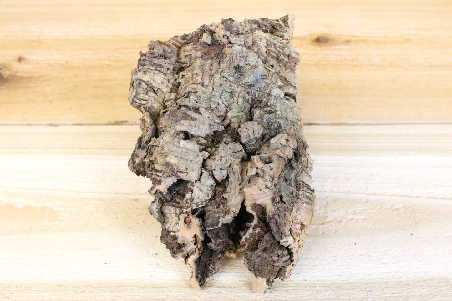 Virgin Cork Bark Slabs By Size - USMANTIS