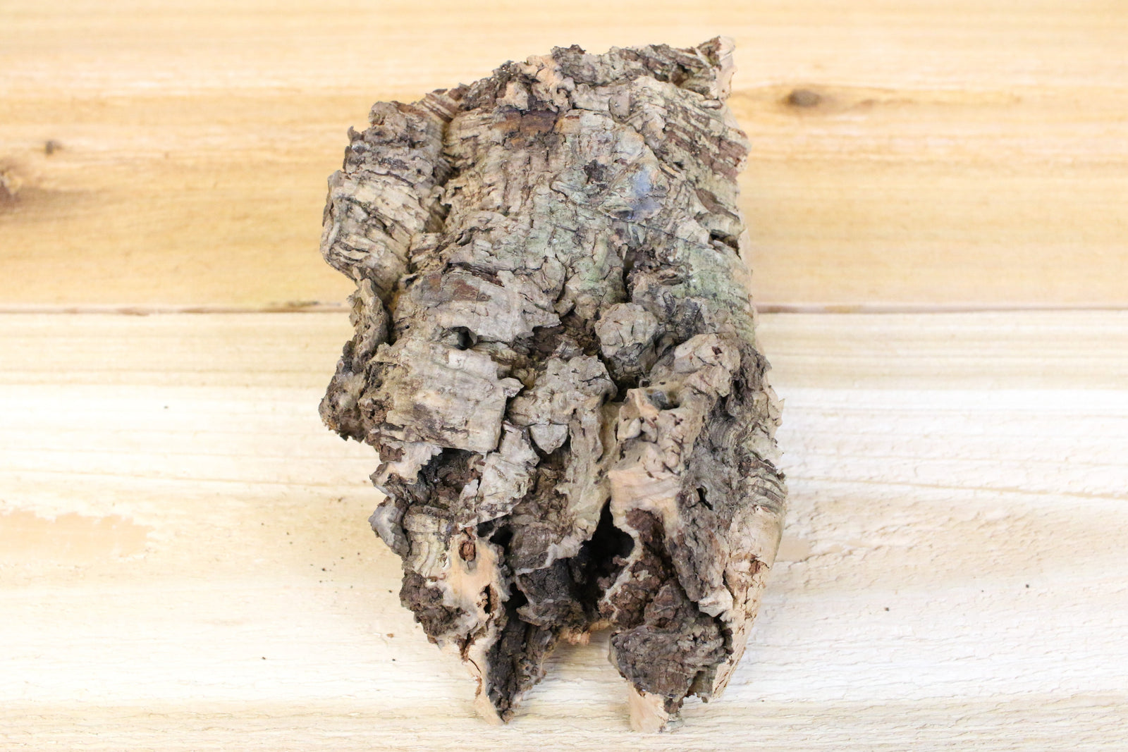 Virgin Cork Bark Slabs By Size - USMANTIS