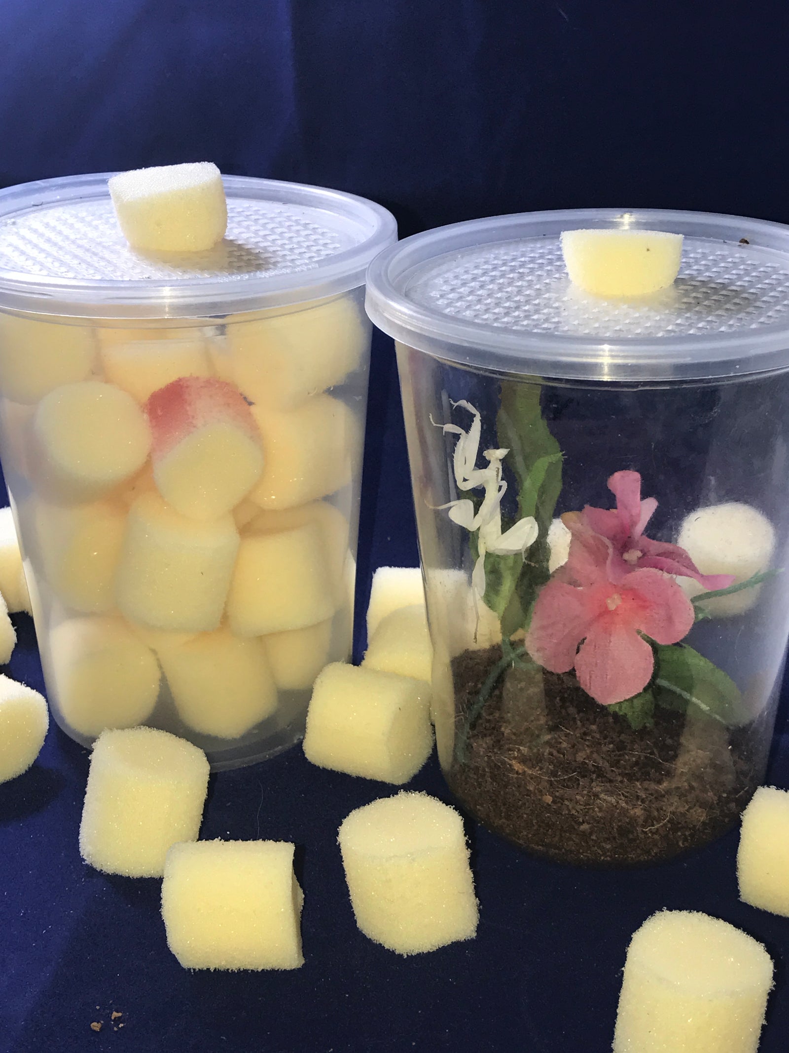 Foam plugs 25-pack feeding port plugs 1.35 " round - USMANTIS