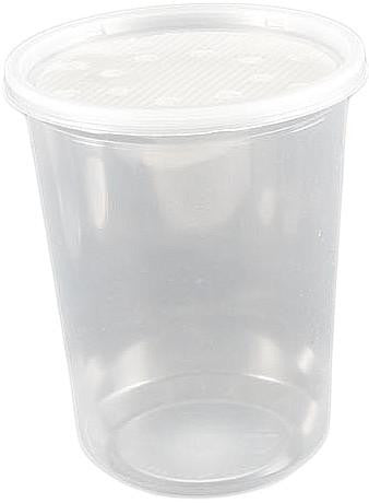 Insect Cups &amp; Lids (32 oz) bulk prices, Supplies - USMantis.com