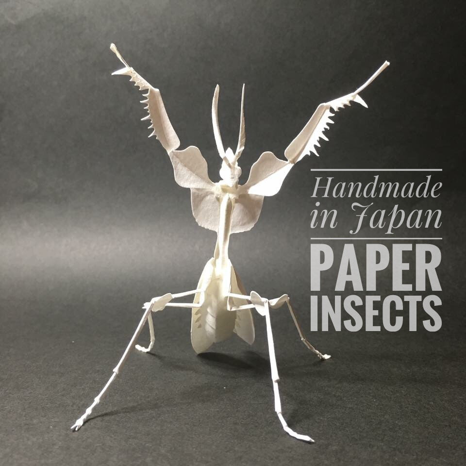 Origami Insects Kit with 6 Japanese Paper and Instructions