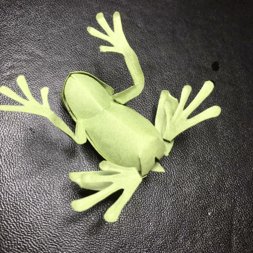 Paper insects - USMANTIS