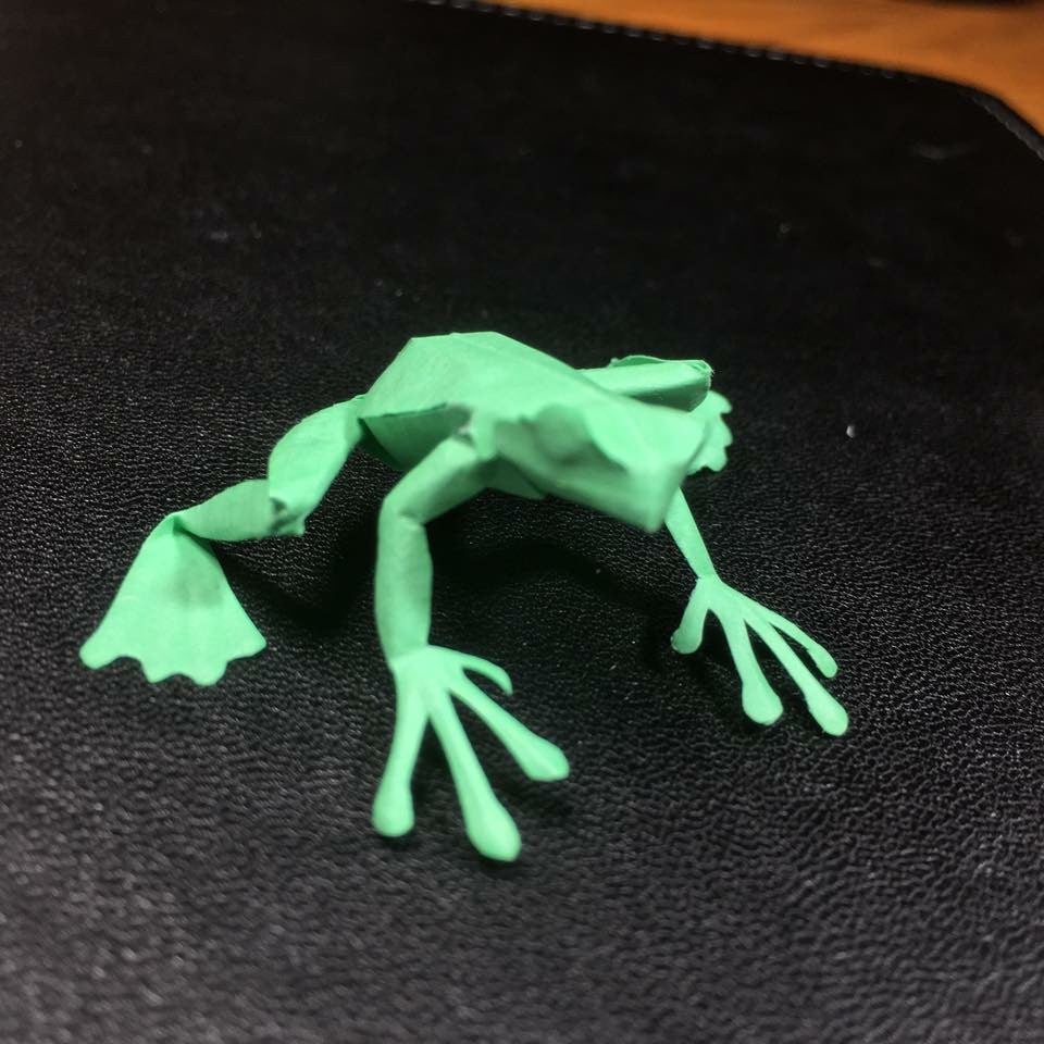 Paper insects - USMANTIS