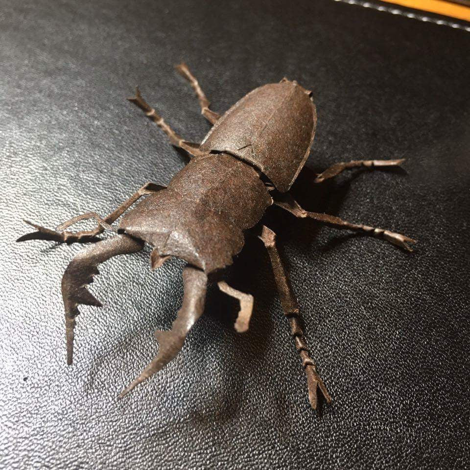 Paper insects - USMANTIS