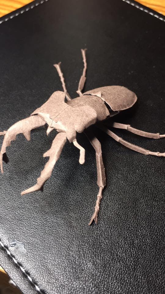 Paper insects - USMANTIS