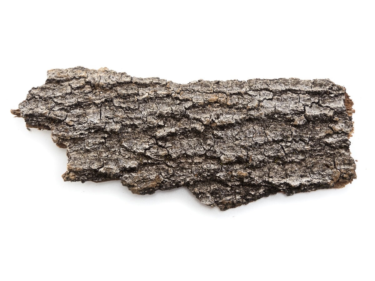 Live Oak Bark bioactive Harwood isopods - USMANTIS