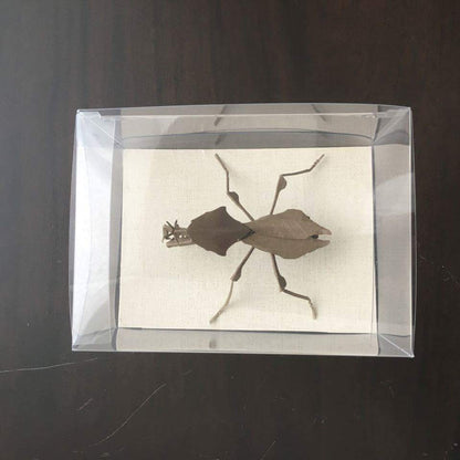 Paper insects - USMANTIS