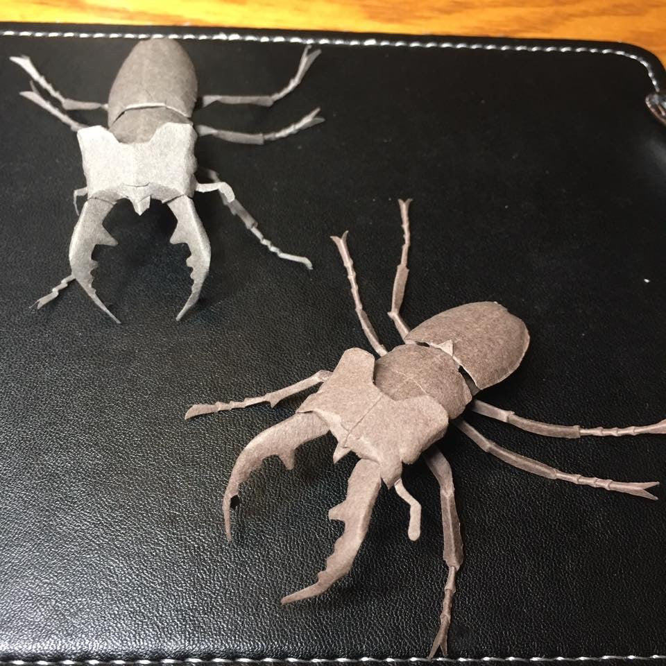 Paper insects - USMANTIS