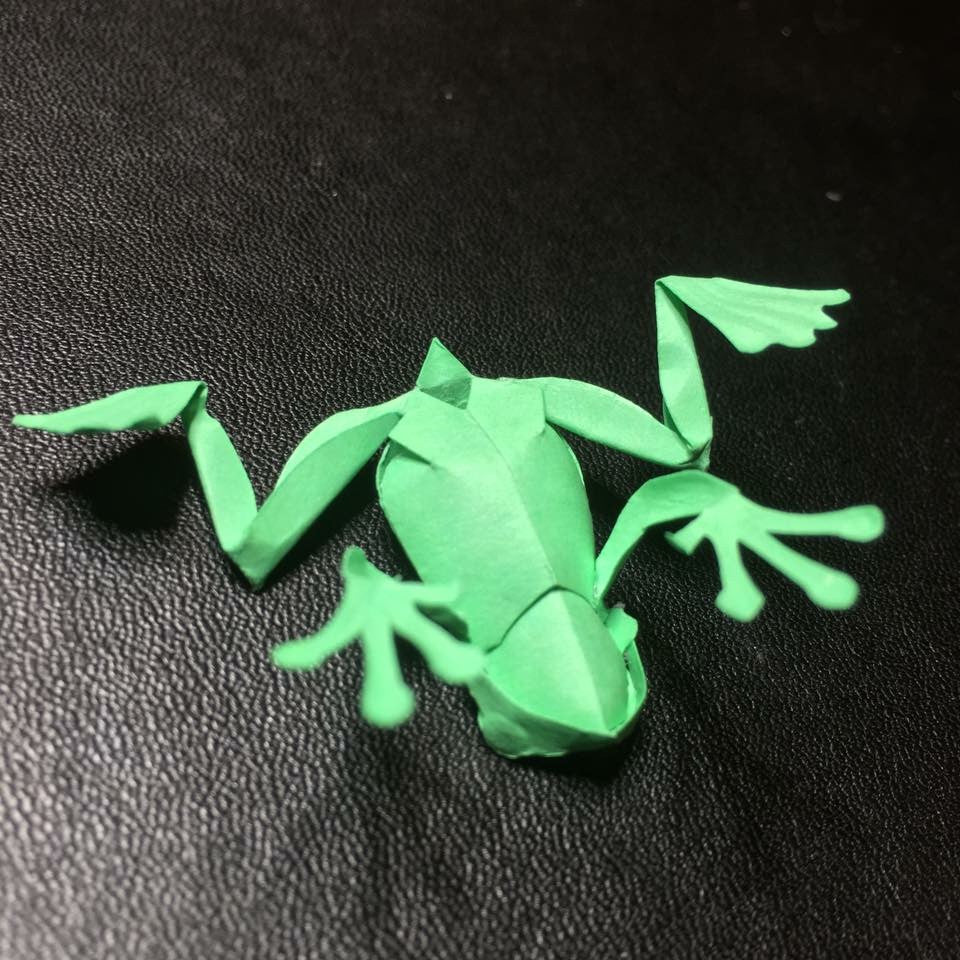 Paper insects - USMANTIS