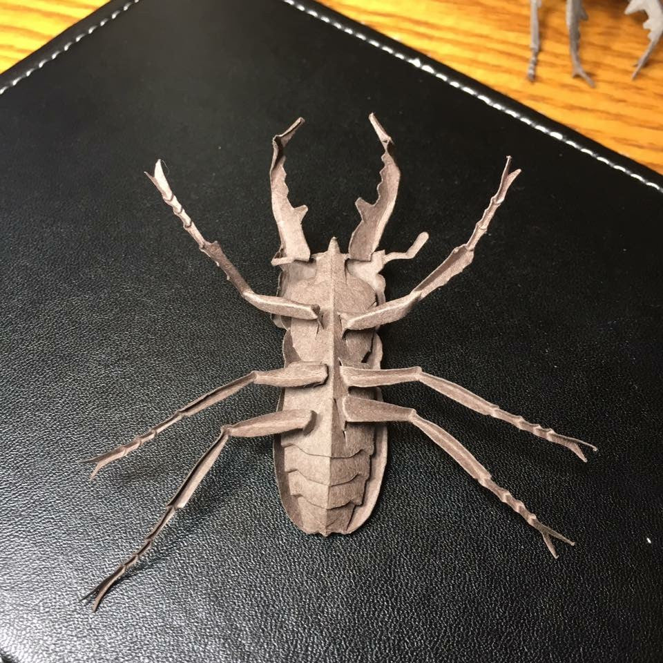 Paper insects - USMANTIS