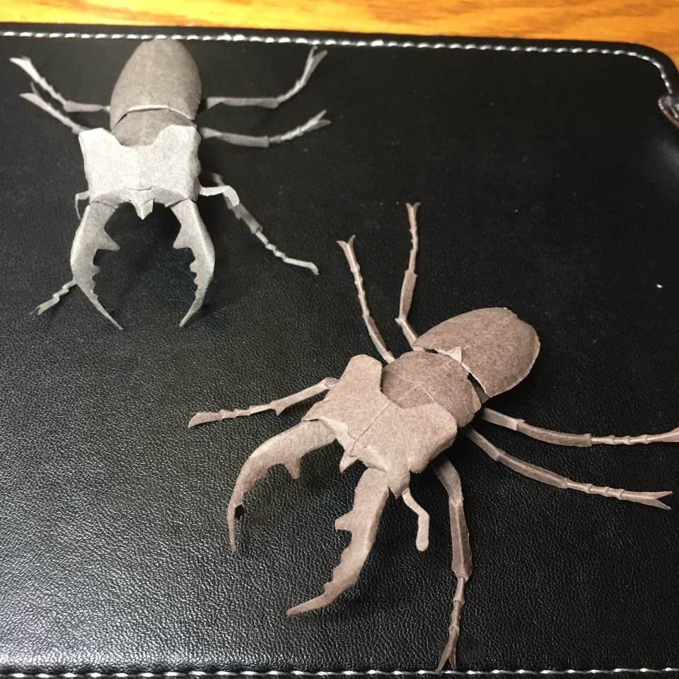 Paper insects - USMANTIS