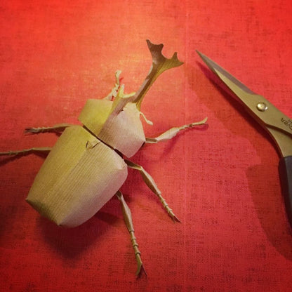 Paper insects - USMANTIS