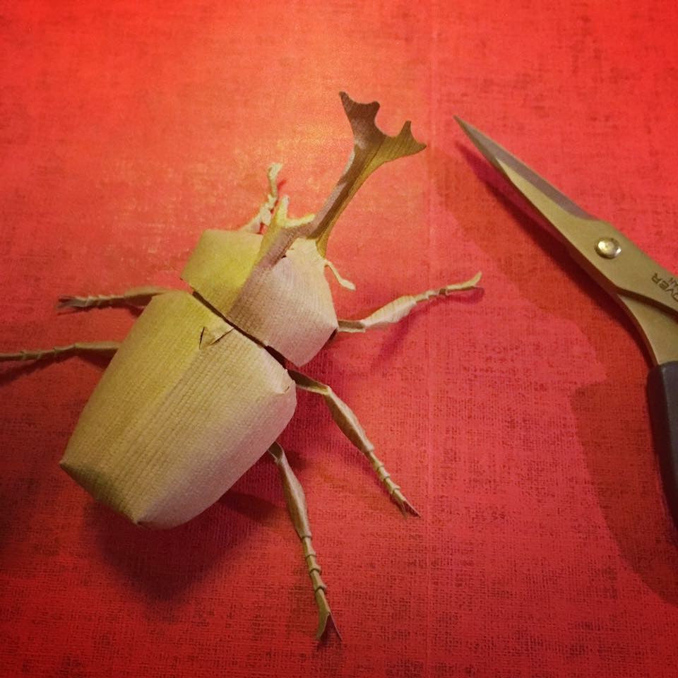 Paper insects - USMANTIS