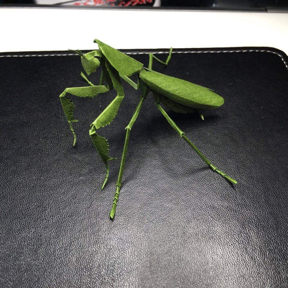 Paper insects - USMANTIS