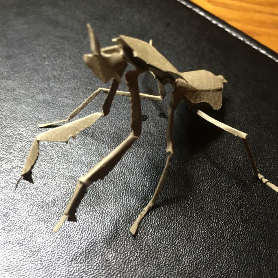 Paper insects - USMANTIS
