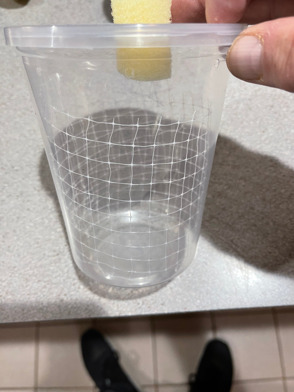 Mantis Hatching Container Vented with Port - USMANTIS