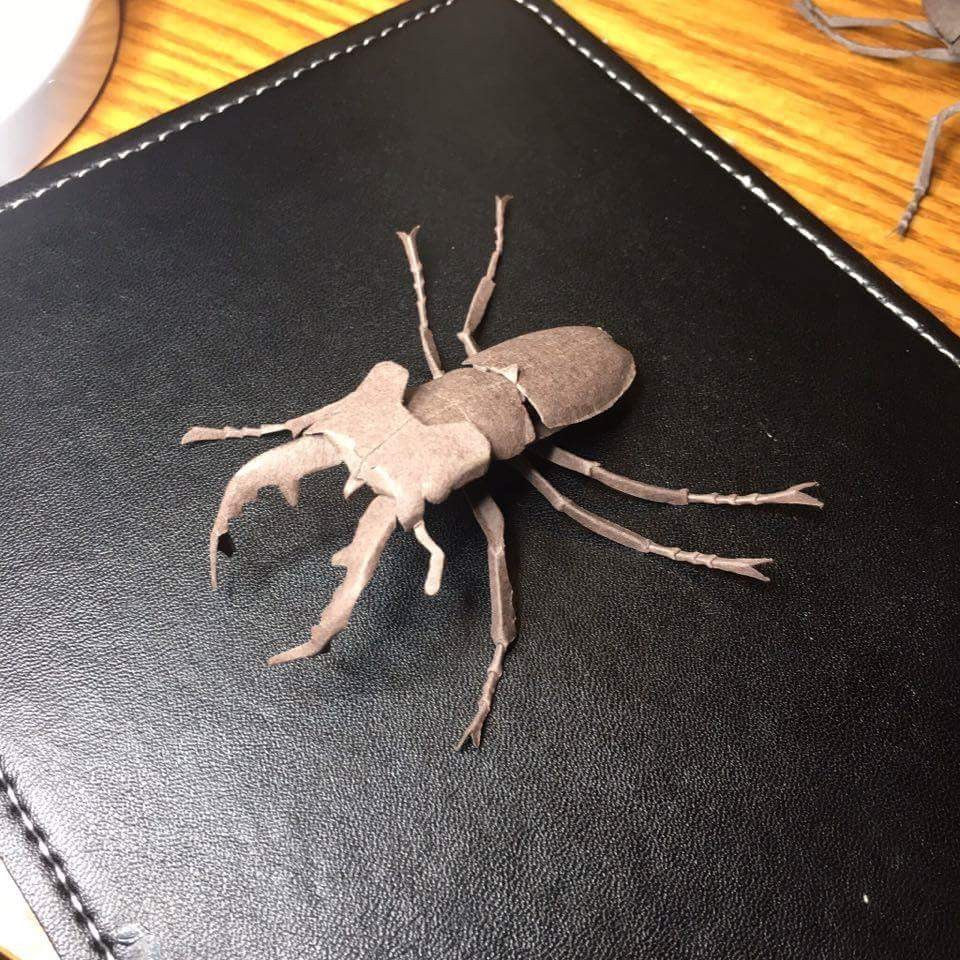 Paper insects - USMANTIS