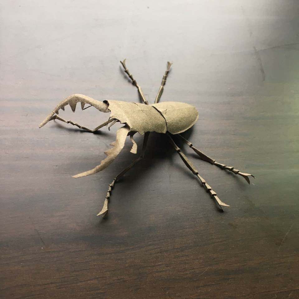 Paper insects - USMANTIS