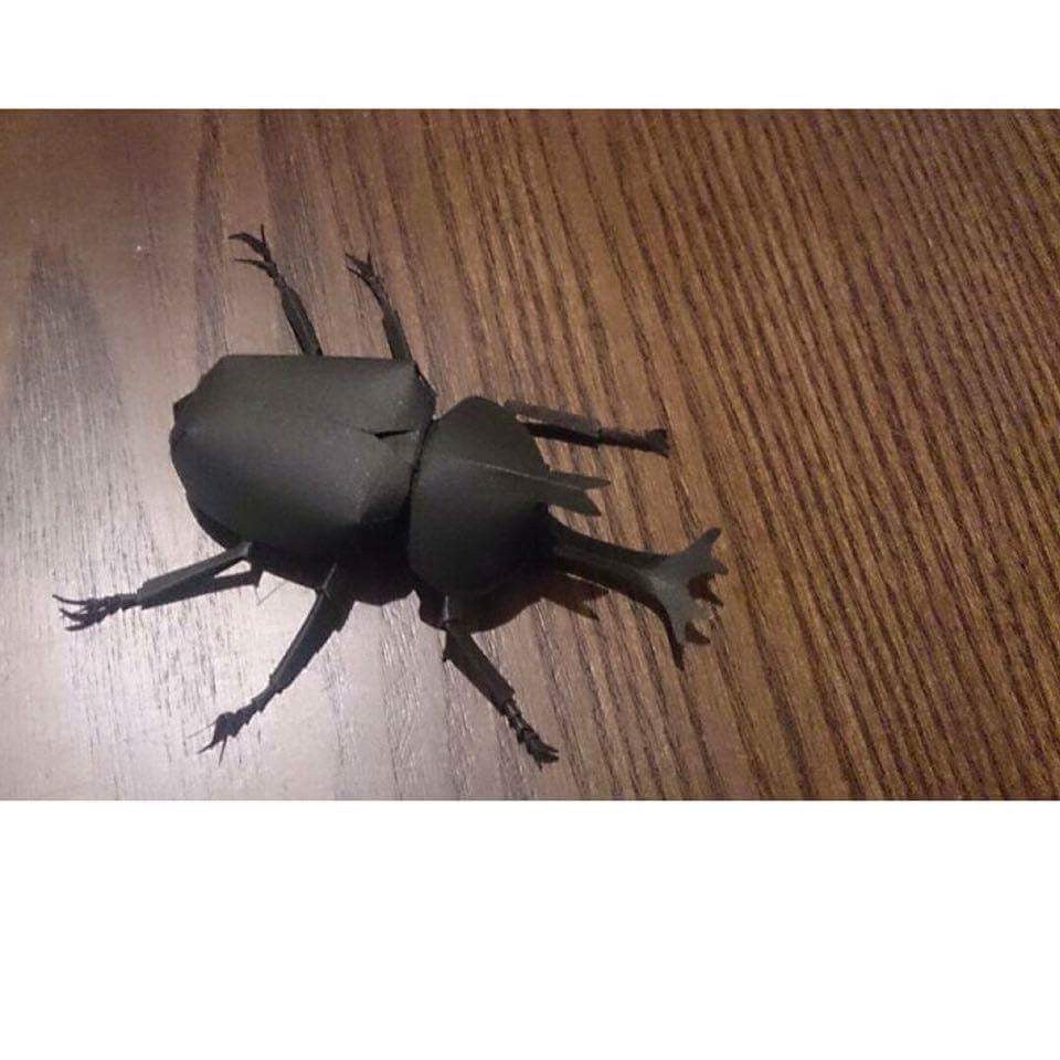 Paper insects - USMANTIS