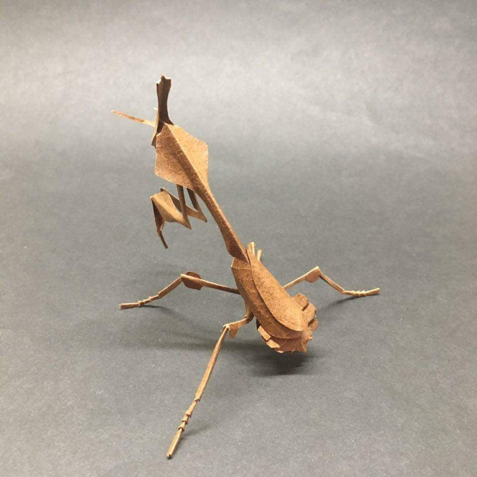 Paper insects - USMANTIS