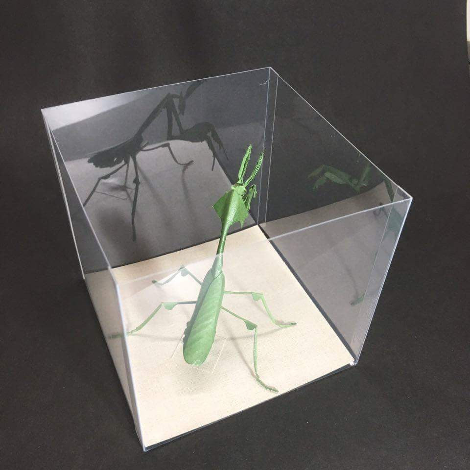 Paper insects - USMANTIS