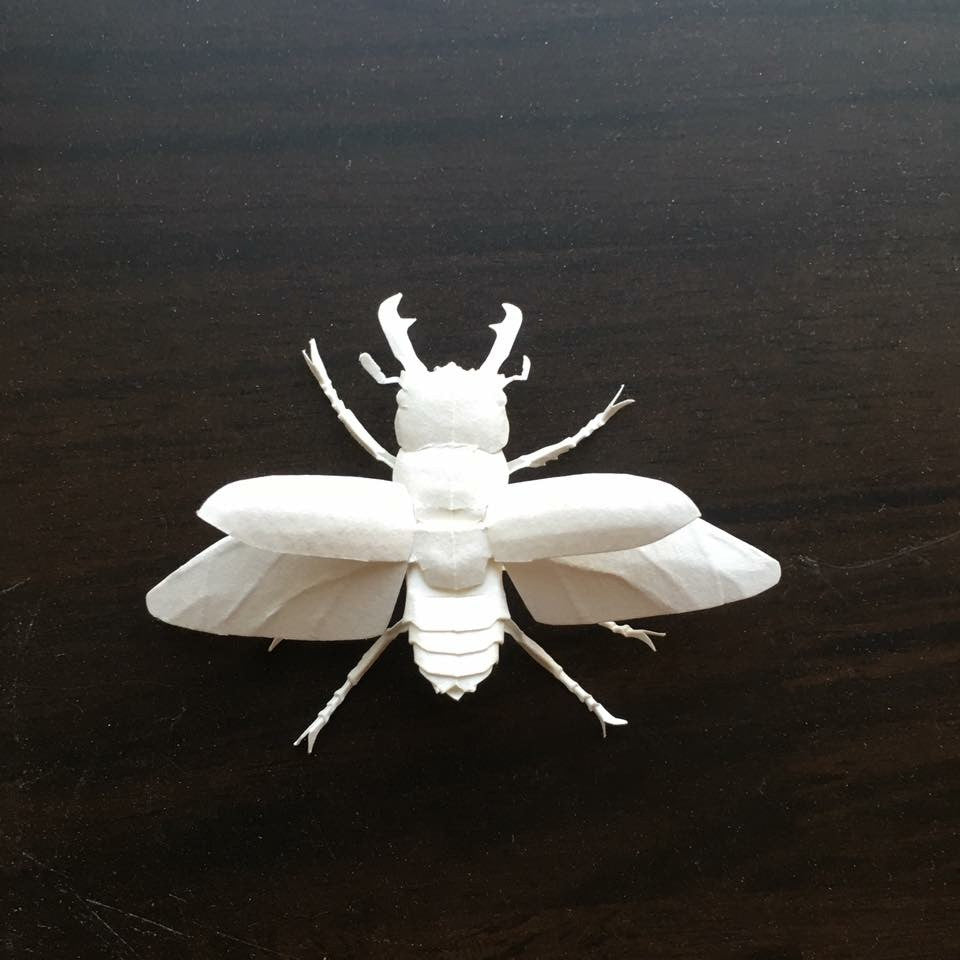 Paper insects - USMANTIS