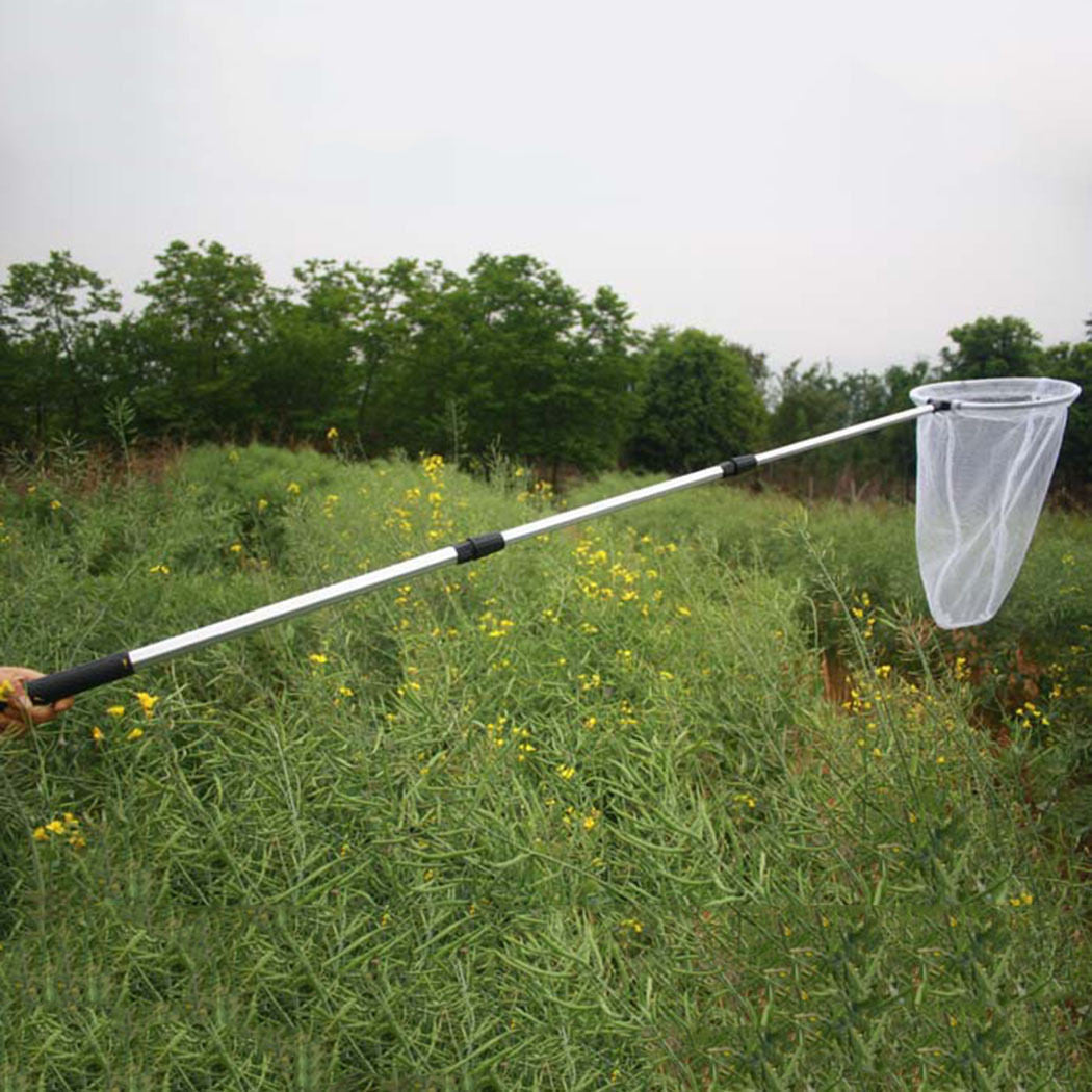 Bug Net Butterfly Catching Net Fish Nylon Net With Telescopic