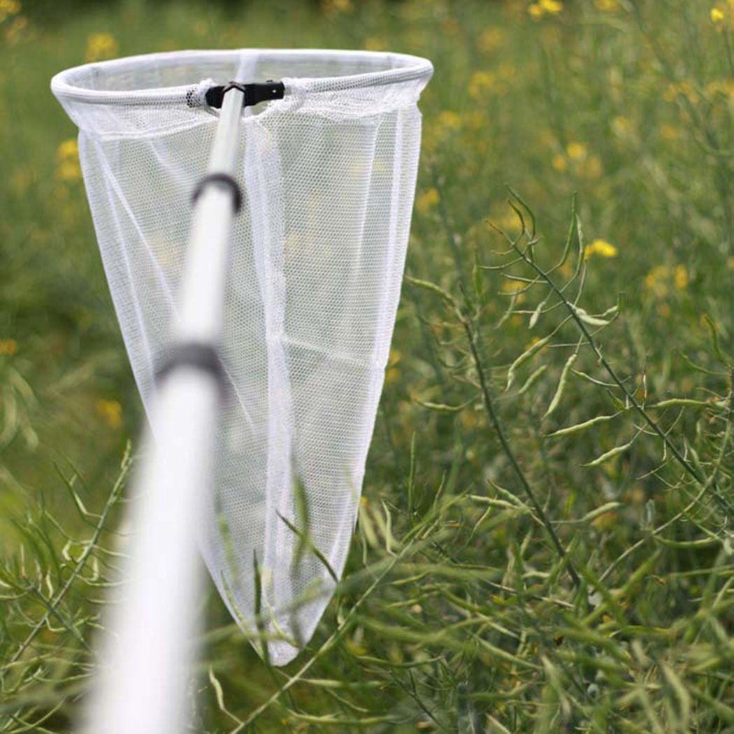 Extendable Telescopic Handle Bug Butterfly Insect Net, Folding - USMANTIS