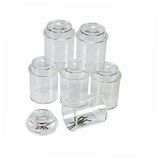 Magnifying insect jars with lids. Acrylic containers 31/2" tall and 21/2" wide vented. - USMANTIS