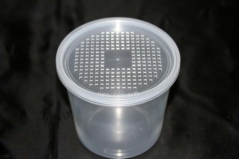 Insect Cups & Lids (32 oz) bulk prices - USMANTIS