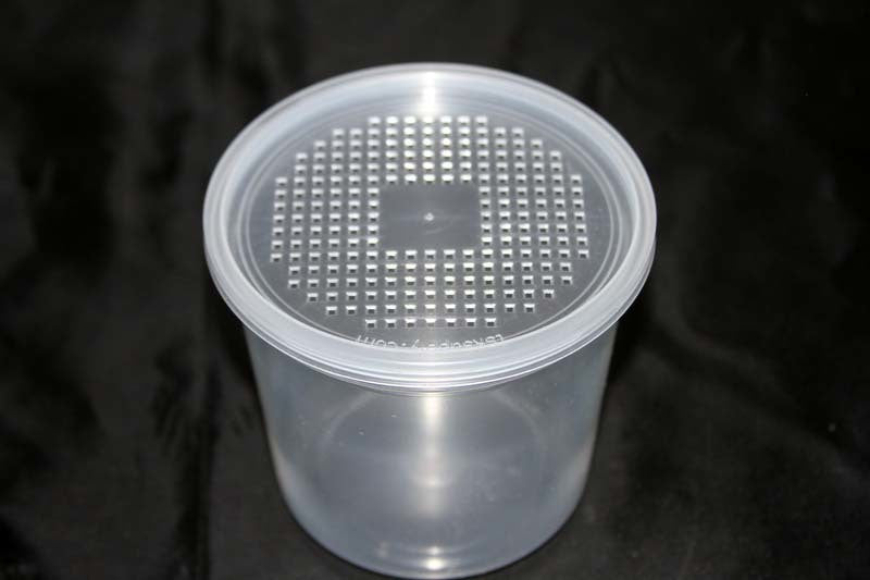 Perforated Deli Cups Insect Culture containers. Plastic (32 oz) NO